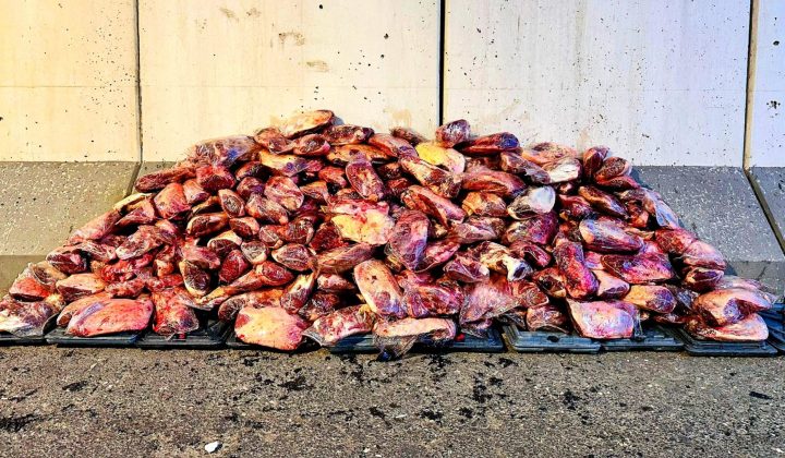 Şanlıurfa’da 1.7 Ton Kaçak ve Sağlıksız Et Ele Geçirildi