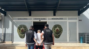 Şanlıurfa’da uyuşturucu operasyonu