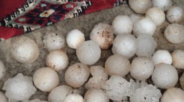 Urfa’da ceviz büyüklüğünde dola yağdı tarımı ve hayat felç oldu