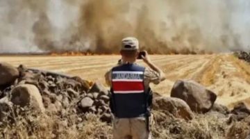 Şanlıurfa’da Jandarma anız için alarma geçti