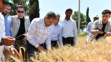 Vali Şıldak, buğday hasadına katıldı