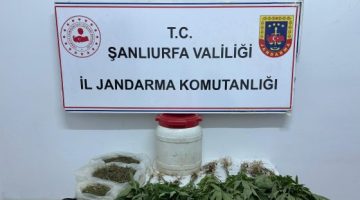 Şanlıurfa’da uyuşturucu operasyonu