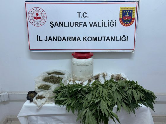 Şanlıurfa’da uyuşturucu operasyonu