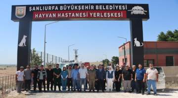 Şanlıurfa’da sokak hayvanları doğal yaşam alanı ve kısırlaştırma çalışmaları başlıyor