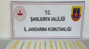 Şehirlerarası uyuşturucu sevkiyatı Jandarma’ya takıldı