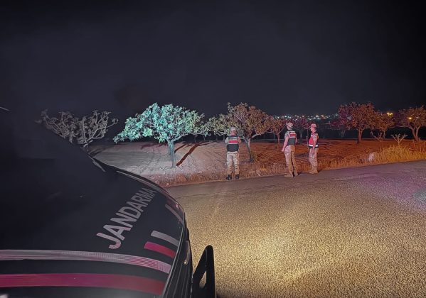 Şanlıurfa’da Jandarma Fıstık Nöbetinde