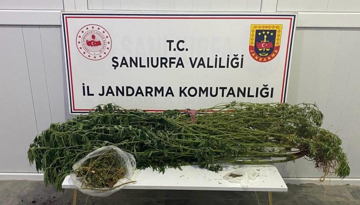 Jandarma’dan Narkotik operasyonu, uyuşturucuya geçit verilmedi