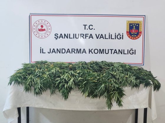 Şanlıurfa’da zehir tacirlerine darbe indirildi