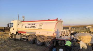 Siverek Belediyesi ‘su’ için seferber oldu