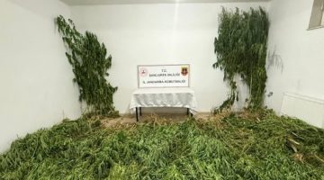 Şanlıurfa’da uyuşturucu operasyonu