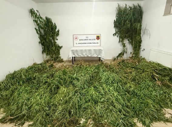 Şanlıurfa’da uyuşturucu operasyonu