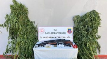 Şanlıurfa’nın 5 ilçesinde uyuşturucu operasyonu