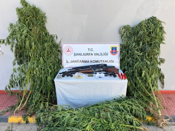 Şanlıurfa’nın 5 ilçesinde uyuşturucu operasyonu
