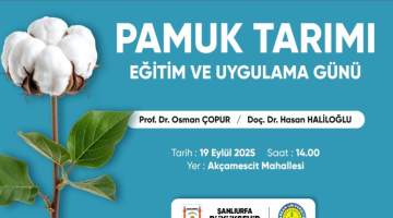 Pamuk çiftçilerine eğitim ve uygulama günü