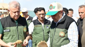 Vali Şıldak, Ceylanpınar’da