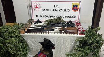 Şanlıurfa’nın 3 ilçesinde operasyon düzenlendi