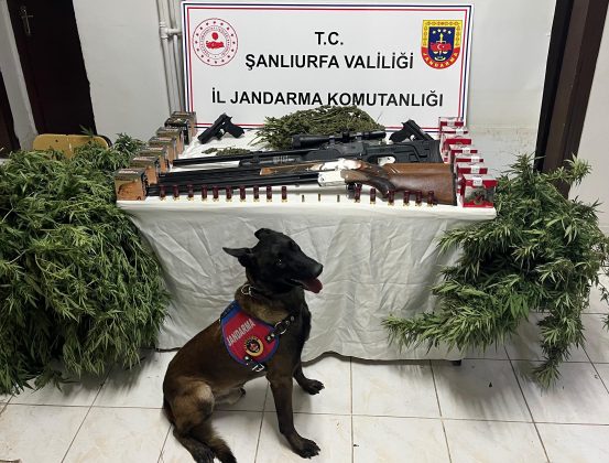 Şanlıurfa’nın 3 ilçesinde operasyon düzenlendi