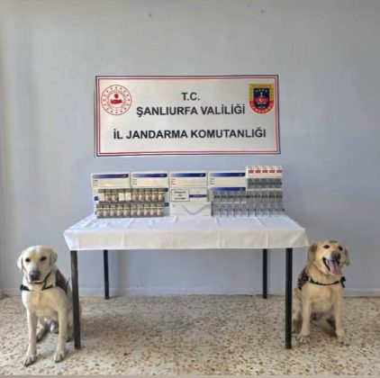 Şanlıurfa’da kaçakçılara baskın!