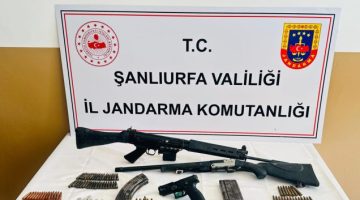Şanlıurfa’da Jandarmadan silah operasyonu