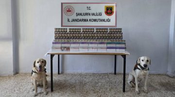 Şanlıurfa’da Jandarmadan Gümrük Kaçağı Sigara Operasyonu