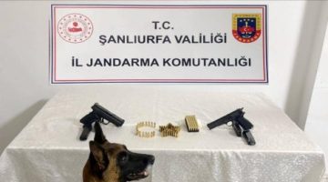 Şanlıurfa’da silah kaçakçılığı operasyonu