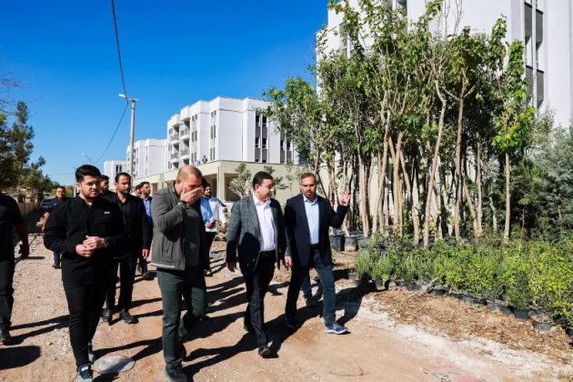 Harran’da Toki Konutlarında Sona Gelindi: Yeni Yaşam Alanı Yükseliyor