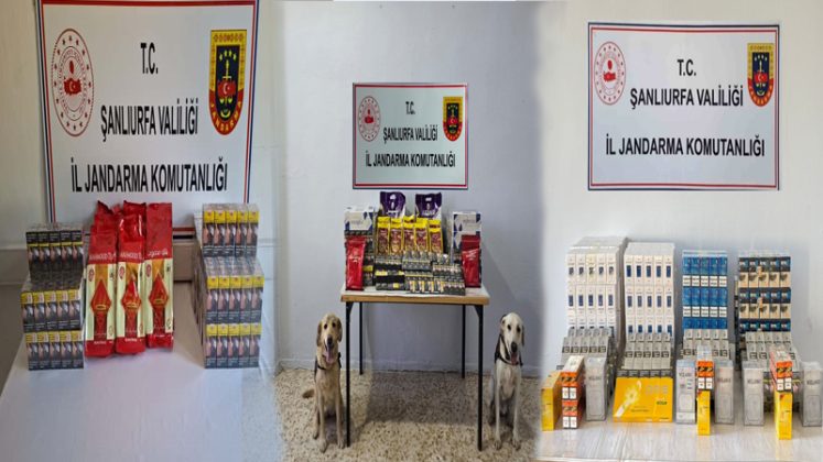 Jandarmadan Viranşehir’de Peş Peşe Kaçakçılık Operasyonları!