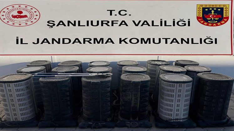 Şanlıurfa’nın Suruç ilçesi çadırkente hırsızlık girişimi