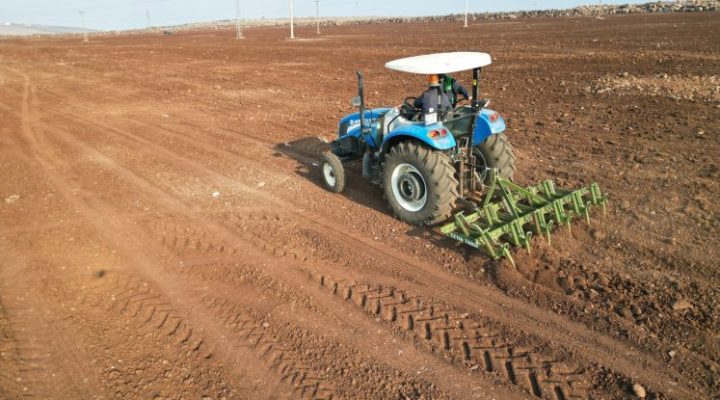Siverek Belediyesi, “Millet Meyve Bahçeleri” projesinin ikinci etabına taş temizleme çalışmalarıyla başladı