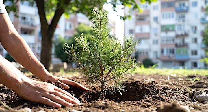 Şehirler hazır mı?