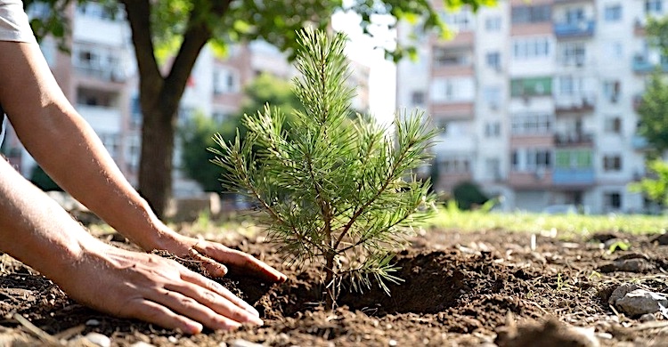 Şehirler hazır mı?