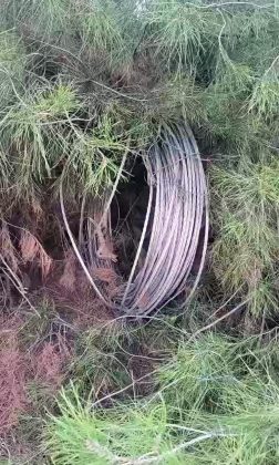 Şanlıurfa’da Direk Hırsızları Bölgeyi Elektriksiz Bıraktı