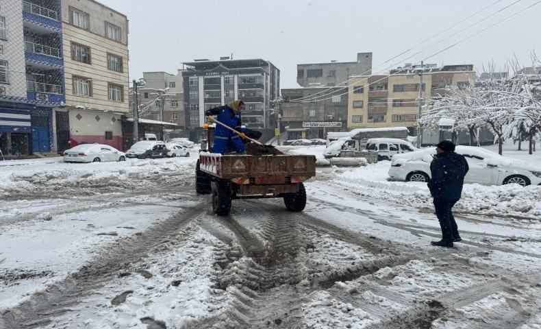 Eyyübiye’de Karla Mücadele Geceden Başladı