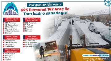 Eyyübiye’de 625 personel 147 araç sahada