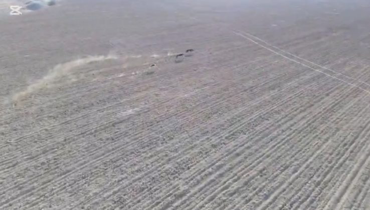 Şanlıurfa’da Doğanın Nefes Kesen Anları