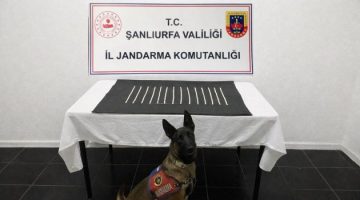 Şanlıurfa’da uyuşturucu operasyonu: 2 gözaltı