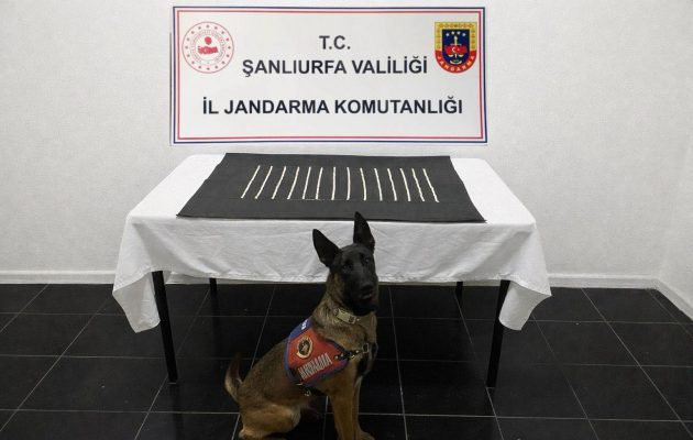 Şanlıurfa’da uyuşturucu operasyonu: 2 gözaltı