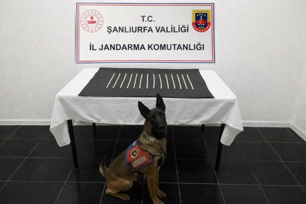 Şanlıurfa’da uyuşturucu operasyonu: 2 gözaltı