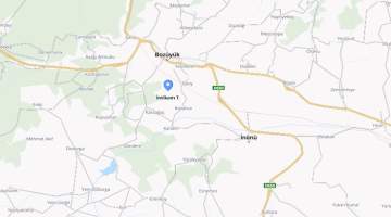 Tarih için örnek davranışlar