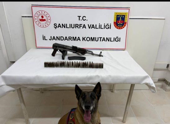 Şanlıurfa’da Ruhsatsız Silah Ele Geçirildi