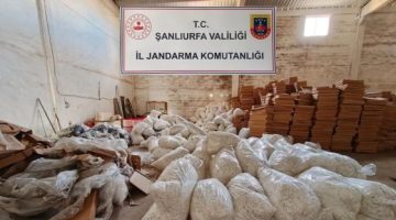 Jandarma affetmedi: 40 milyon adet makaron ele geçirildi