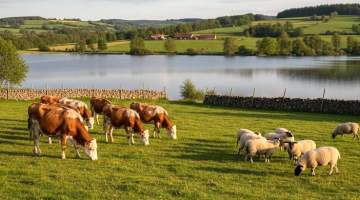 Yıllık artış, beş yılda azalış var