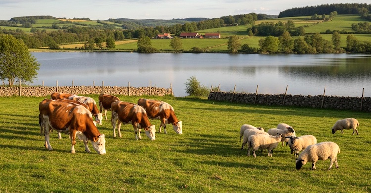 Yıllık artış, beş yılda azalış var