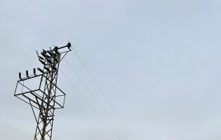 Şanlıurfa’daki Kaçak Trafoya El Konuldu